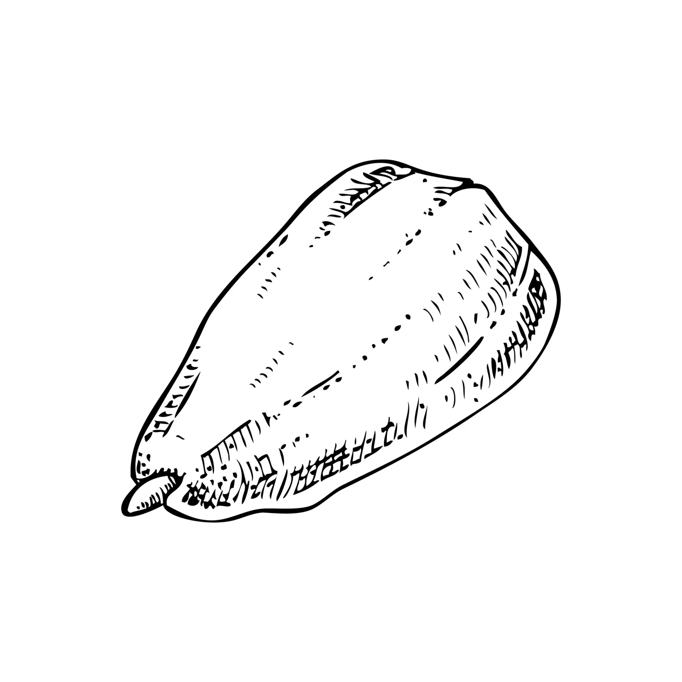 Almond nut sketch. Hand-drawn vector illustration. Vintage nut, cosmetics ingredient, healthy food drawings. Botanical design element in engraved style for label and packaging. Illustration